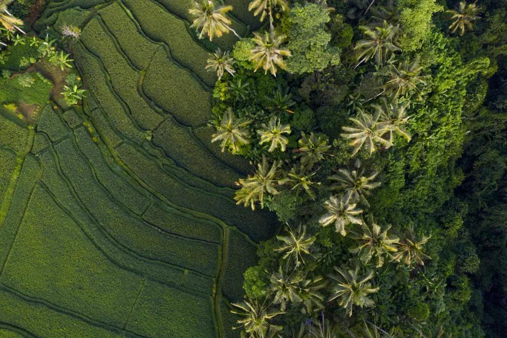 eSIM Canggu - Prepaid-Reisedaten für Canggu, Indonesien kaufen