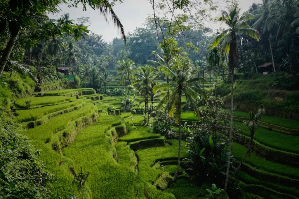 Reiseziel Indonesien - Kaufen Sie eSIM Indonesien für mobiles Internet