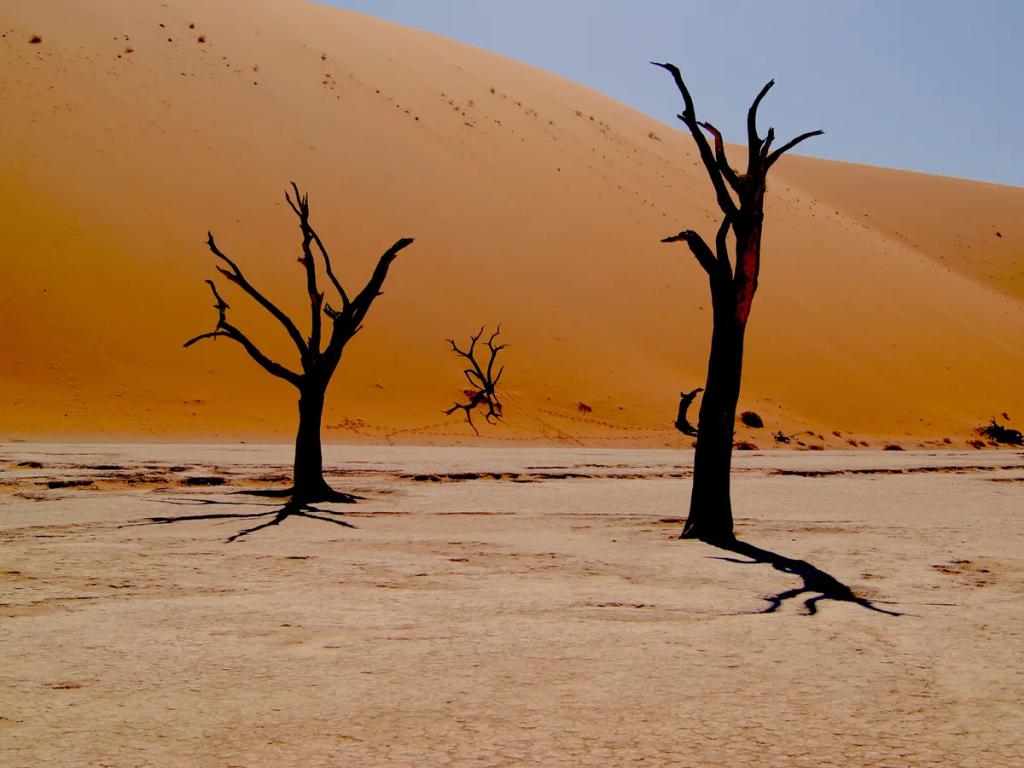 eSIM Windhoek - Prepaid-Reisedaten für Windhoek, Namibia kaufen