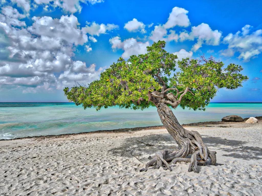 Reiseziel Aruba - Kaufen Sie eSIM Aruba für mobiles Internet
