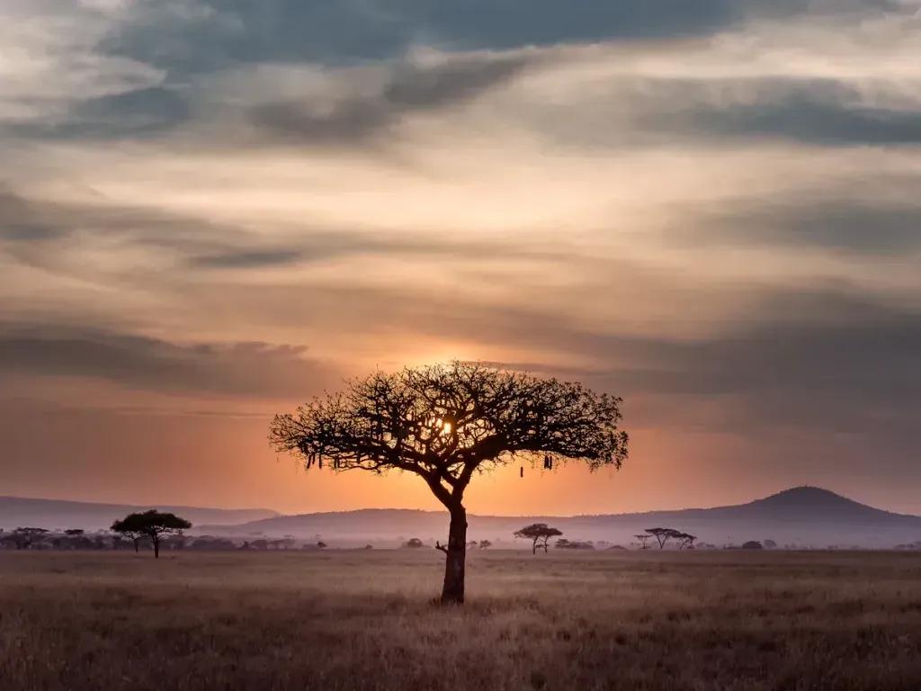 eSIM Arusha - Prepaid-Reisedaten für Arusha, Tansania kaufen